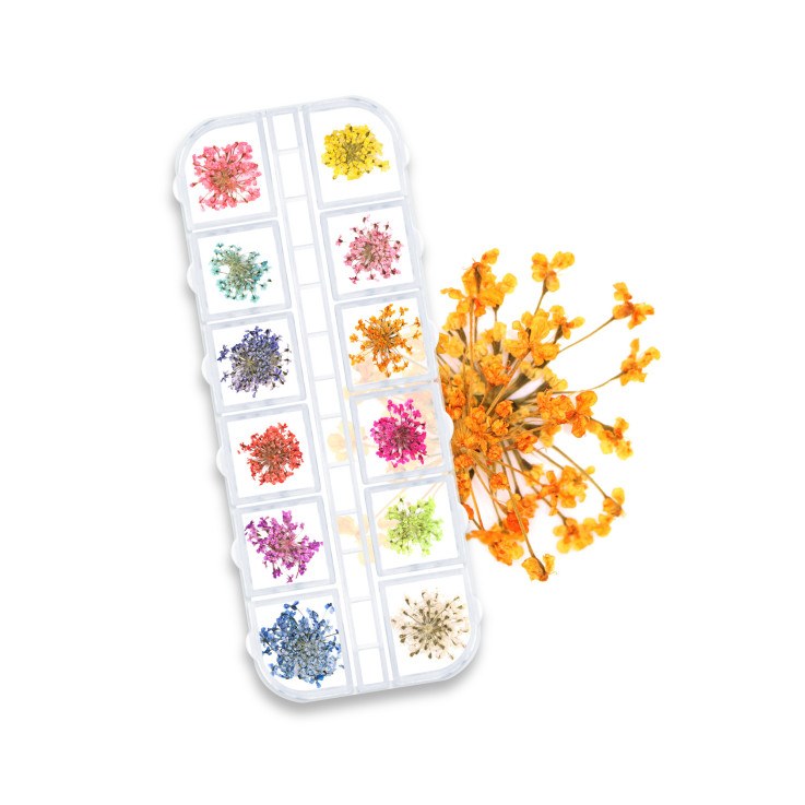 Dry Flower Nail Art Palette